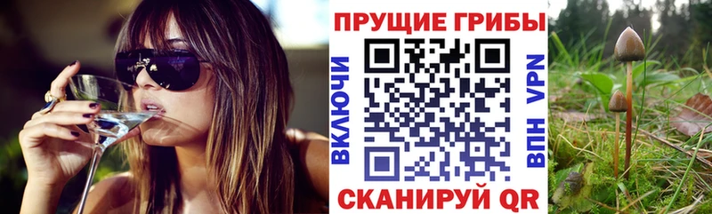 Купить  Инта  Галлюциногенные грибы Psilocybe 